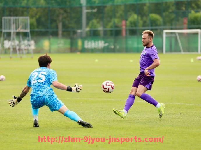 J9九游会登录入口-法甲射手榜对比分析及关键球员表现